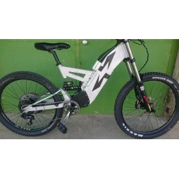 LMX 81